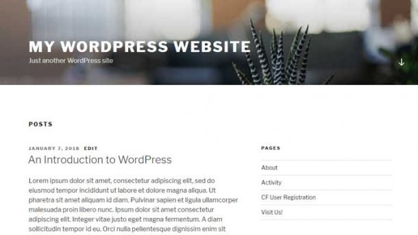 la page des articles de WordPress