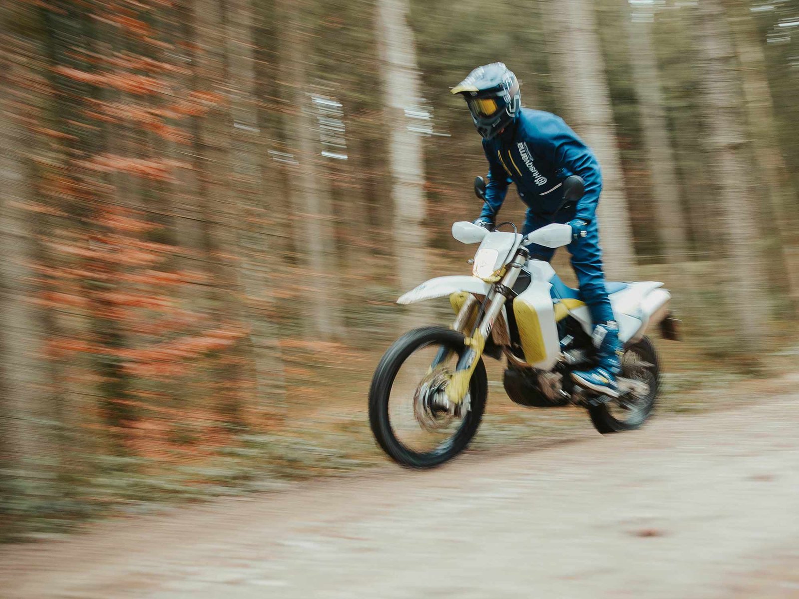 Assurez-vous d'obtenir un historique détaillé du vélo.  Vous voulez savoir à quel point cette machine a vu de la route ou de la terre.